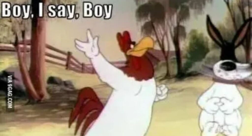 Foghorn Leghorn Quotes to ‘The Boy’—Boy’, I Say Boy!