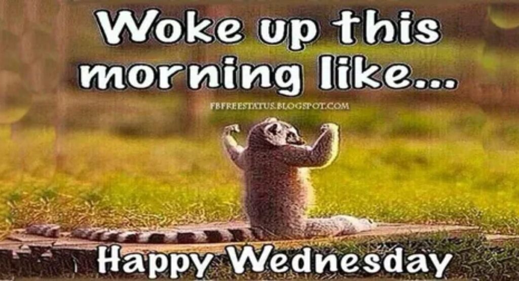 Funny and Lighthearted Wellness Wednesday Quotes to Make You Smile
