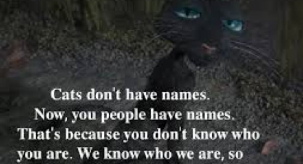 Memorable Lines From The Cat in Coraline