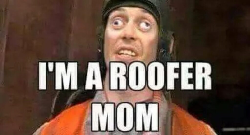 Funny Roofing Quotes That Add Humor to Hard Work