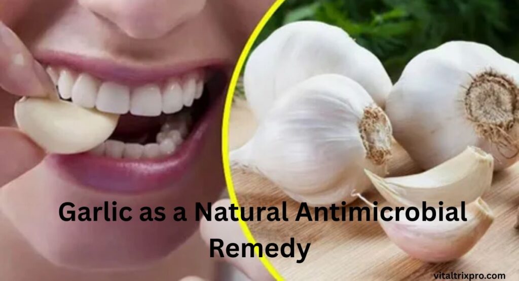  Garlic as a Natural Antimicrobial Remedy